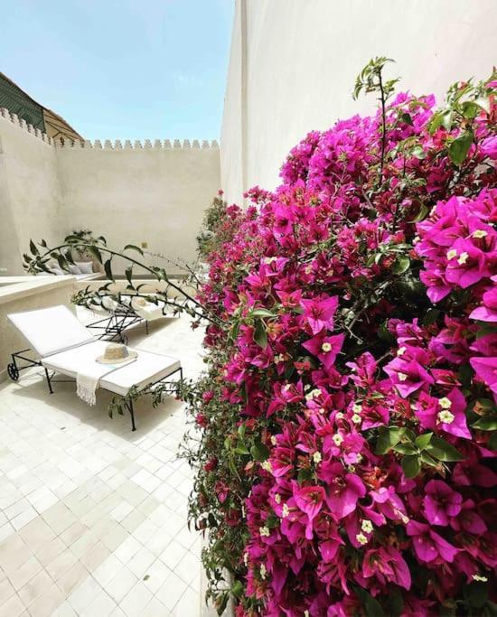 Riad Vivre - Design Boutique Riad In Marrakech Marrakesh Eksteriør bilde