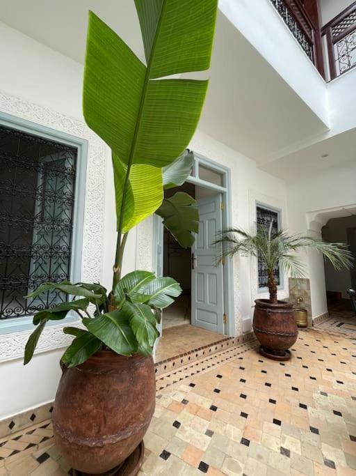 Riad Vivre - Design Boutique Riad In Marrakech Marrakesh Eksteriør bilde